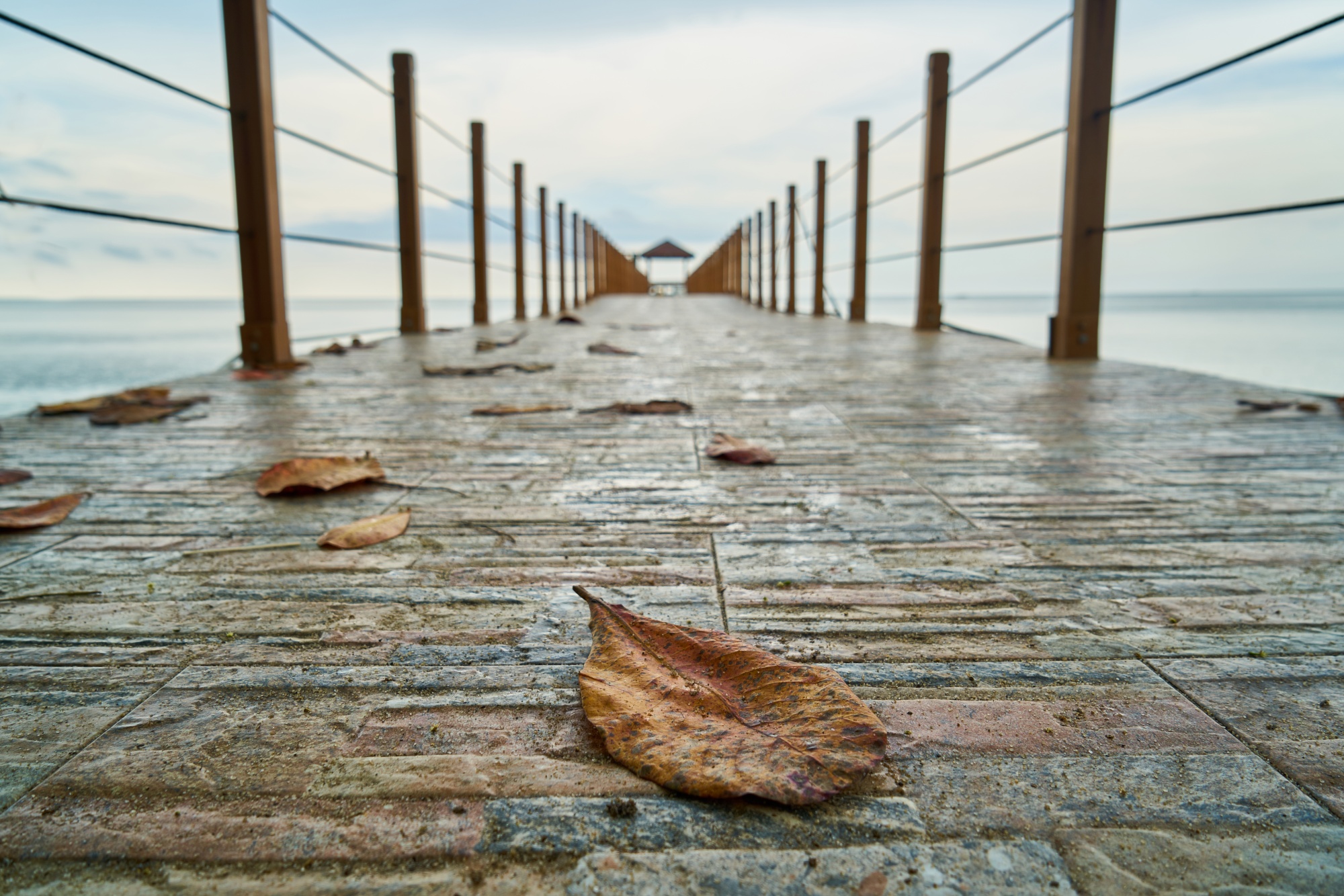 wooden-harbor-sea-water